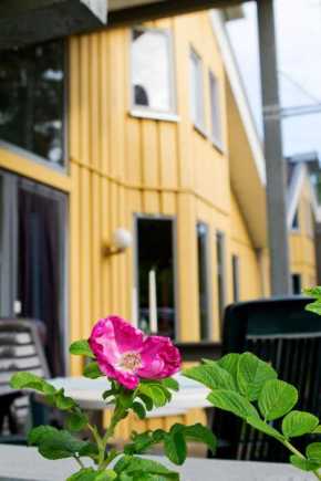Ferienhaus Mirow 66 Mirow